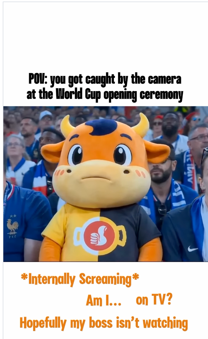 World Cup campaign